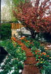 garden1.jpg (33784 bytes)