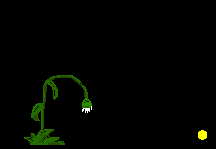 sunlovemyurl.gif (51989 bytes)